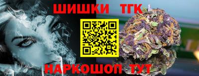 СК Дубна