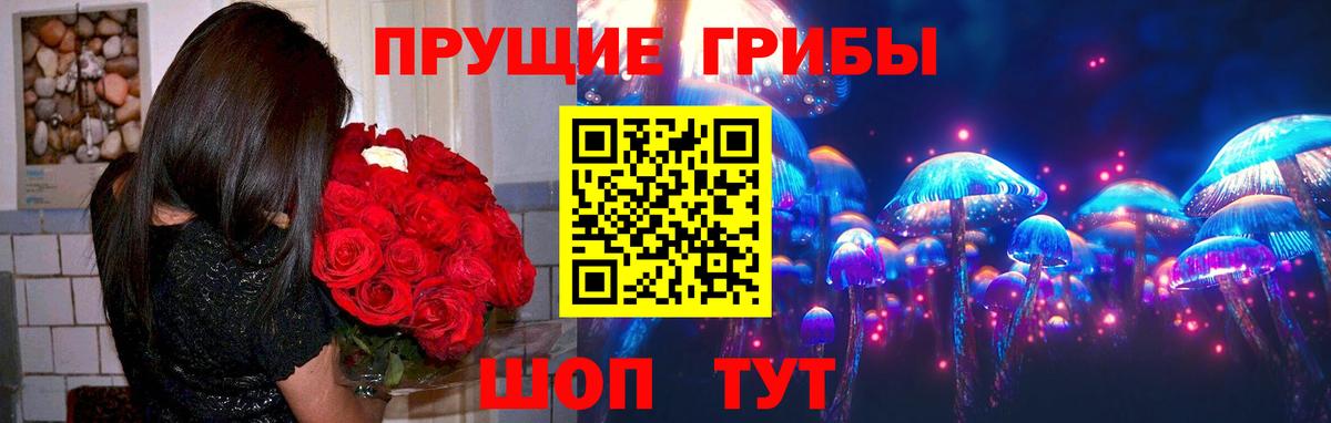 Галлюциногенные грибы Psilocybe  Галлюциногенные грибы Psilocybine cubensis  Ногинск  Вход с VPN 